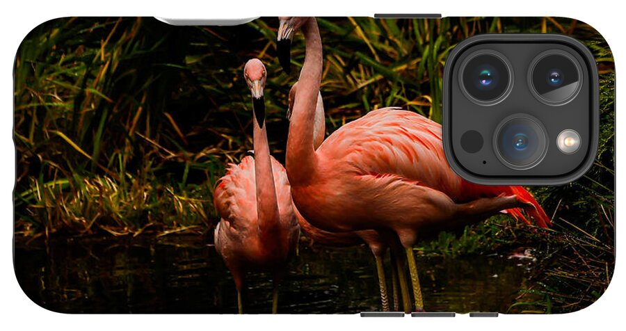 Flamingos by a Pond - Phone Case