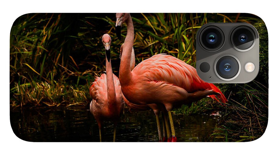 Flamingos by a Pond - Phone Case