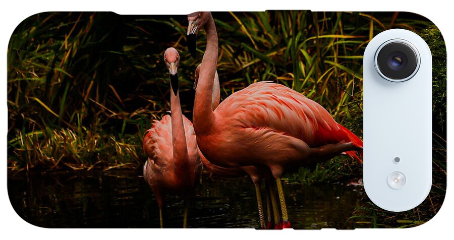 Flamingos by a Pond - Phone Case