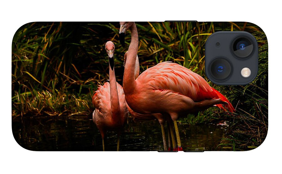 Flamingos by a Pond - Phone Case