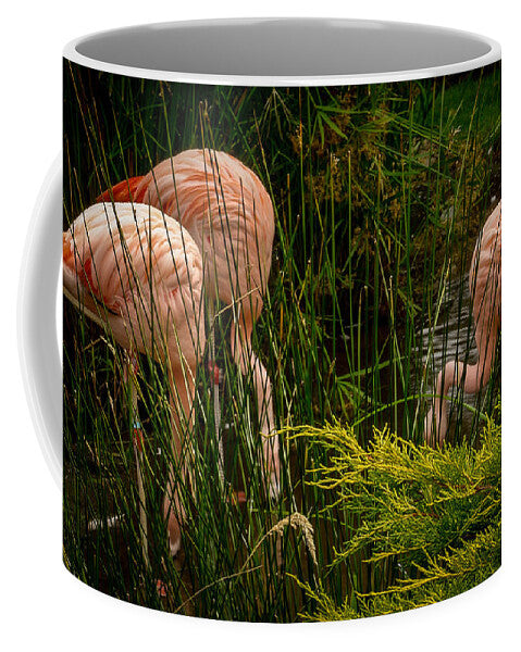 Flamingos drinking - Mug