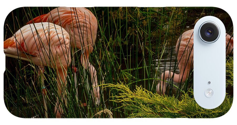 Flamingos drinking - Phone Case