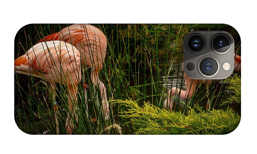 Flamingos drinking - Phone Case