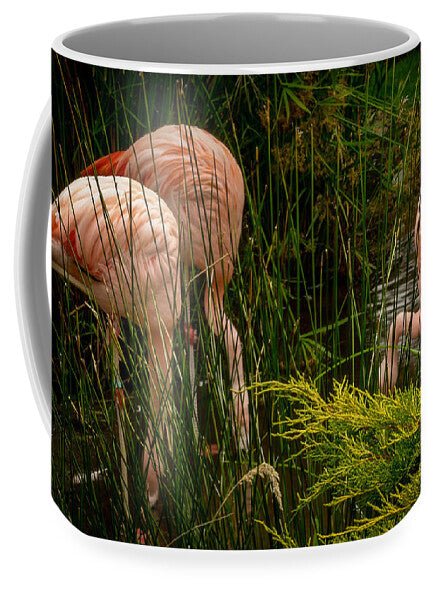 Flamingos drinking - Mug
