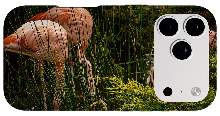 Flamingos drinking - Phone Case
