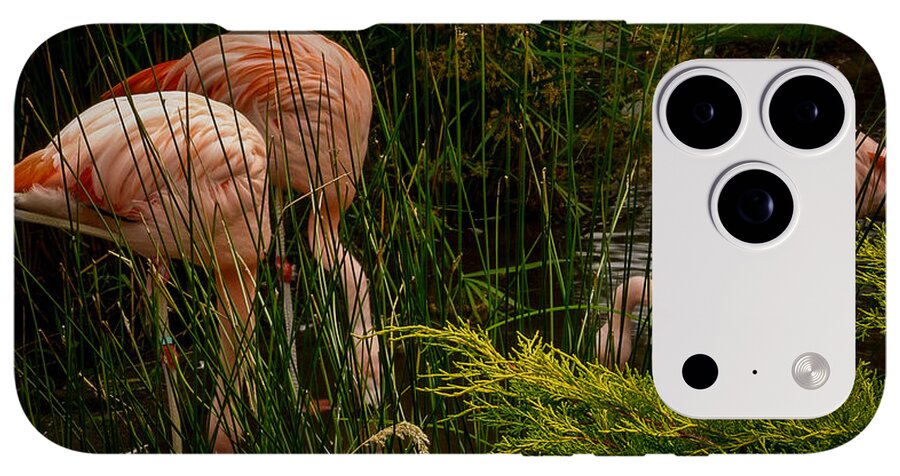 Flamingos drinking - Phone Case