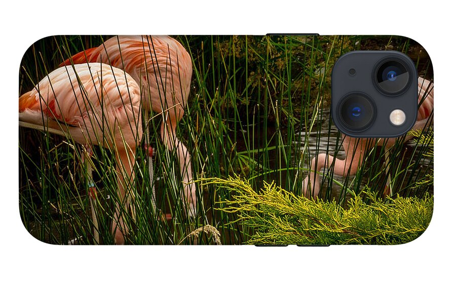 Flamingos drinking - Phone Case