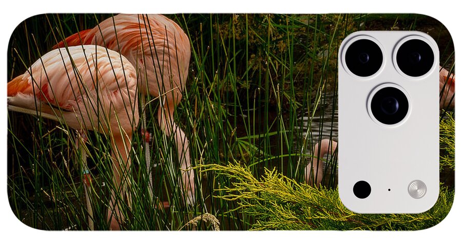 Flamingos drinking - Phone Case