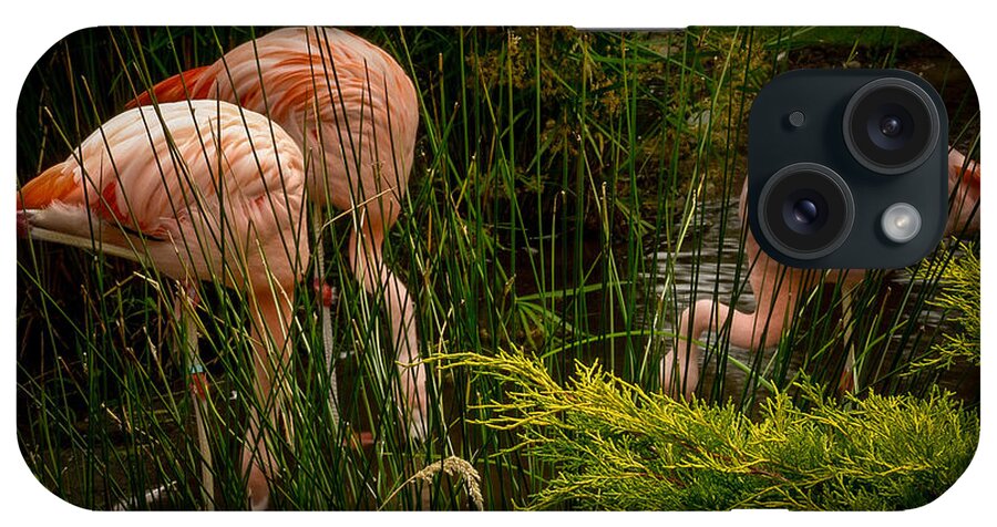 Flamingos drinking - Phone Case