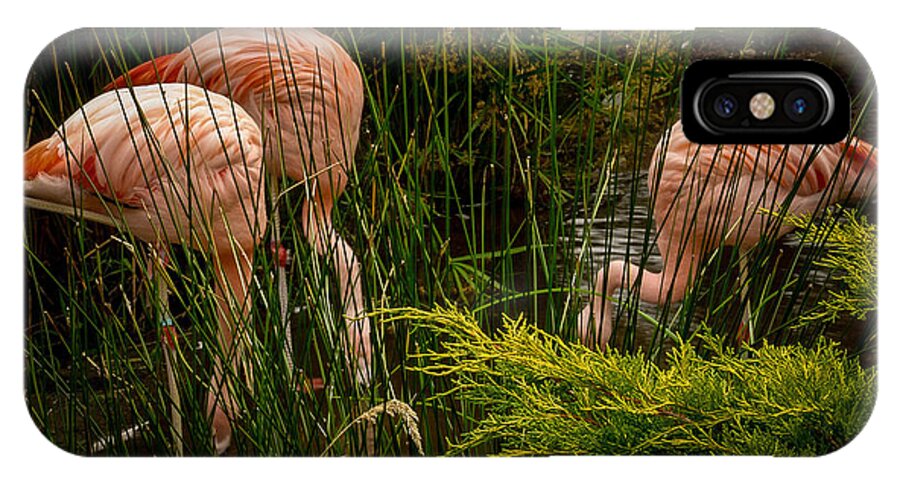 Flamingos drinking - Phone Case