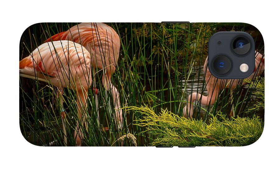 Flamingos drinking - Phone Case