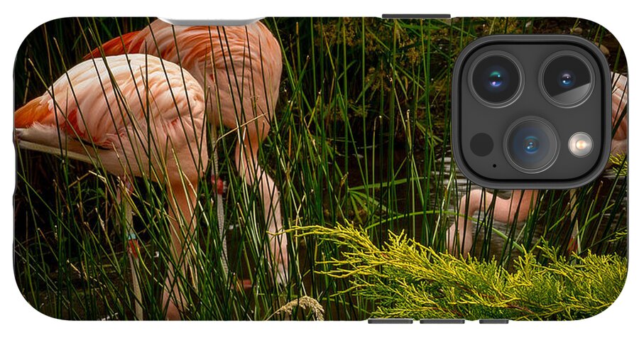 Flamingos drinking - Phone Case