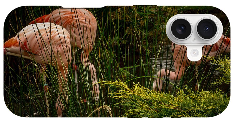 Flamingos drinking - Phone Case