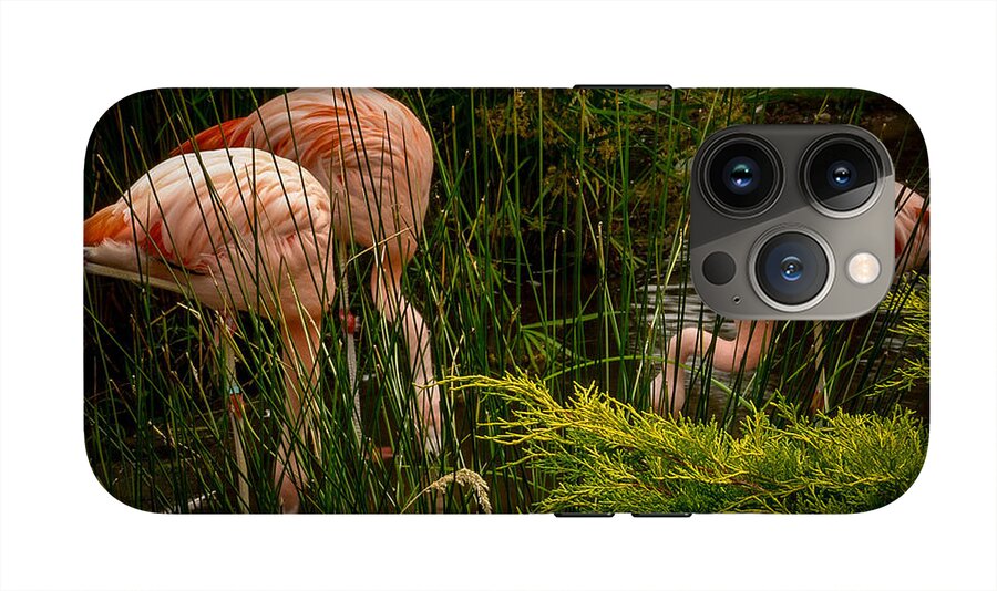 Flamingos drinking - Phone Case