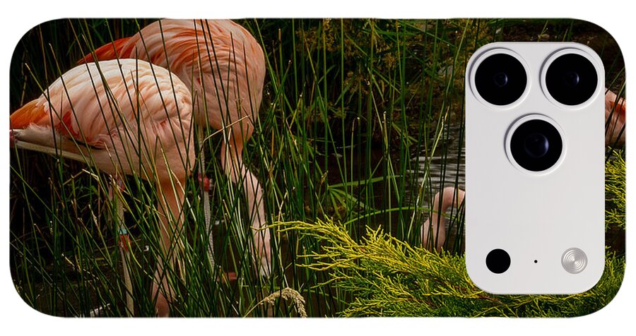 Flamingos drinking - Phone Case