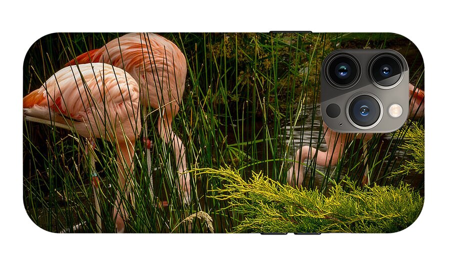 Flamingos drinking - Phone Case
