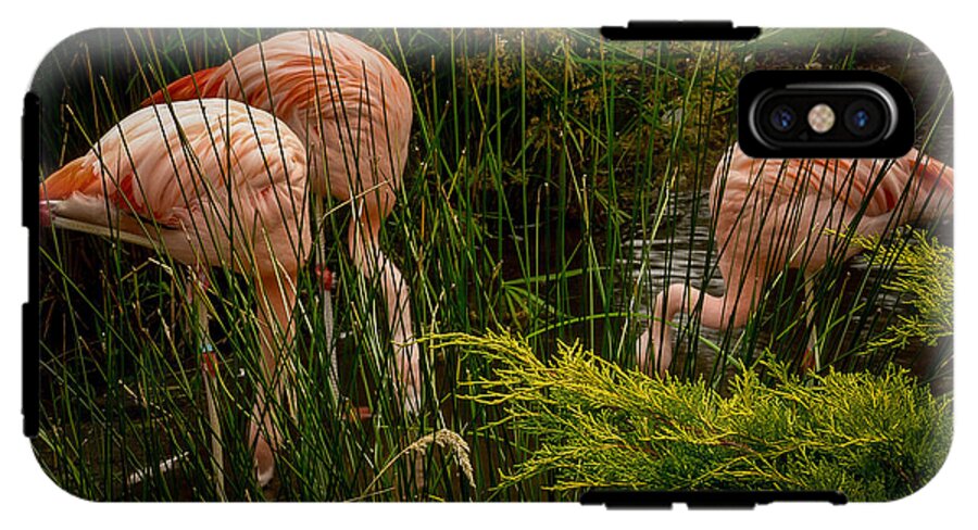 Flamingos drinking - Phone Case