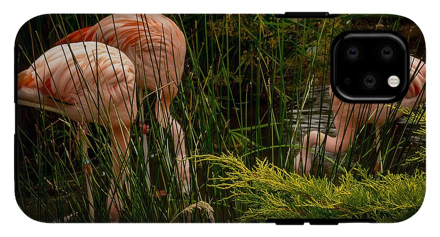 Flamingos drinking - Phone Case