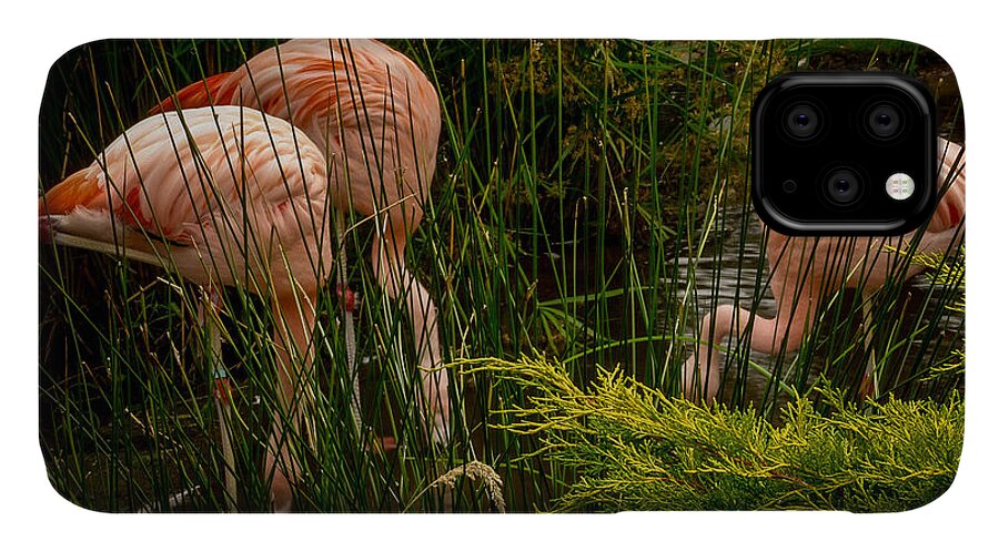 Flamingos drinking - Phone Case