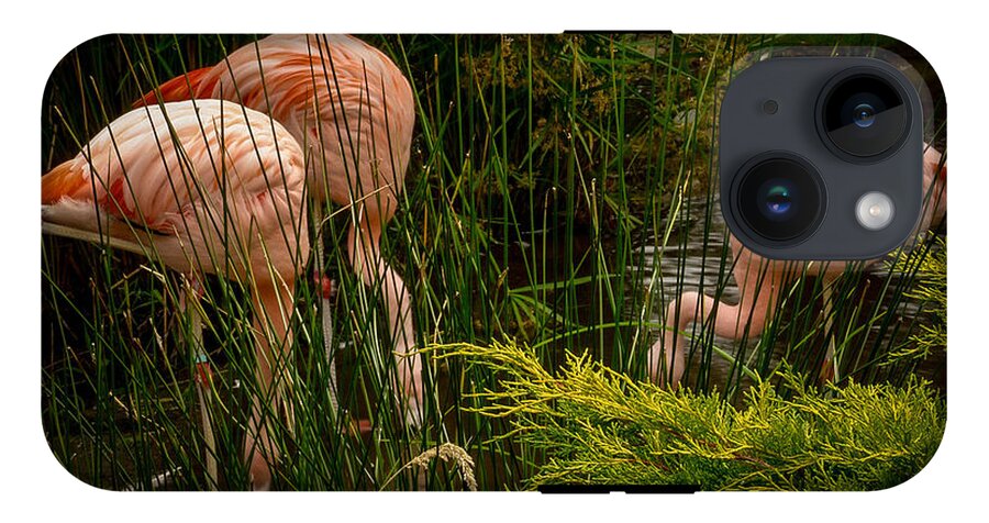 Flamingos drinking - Phone Case