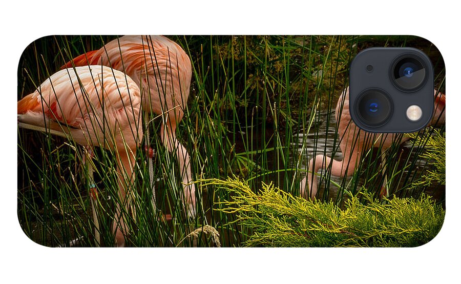 Flamingos drinking - Phone Case