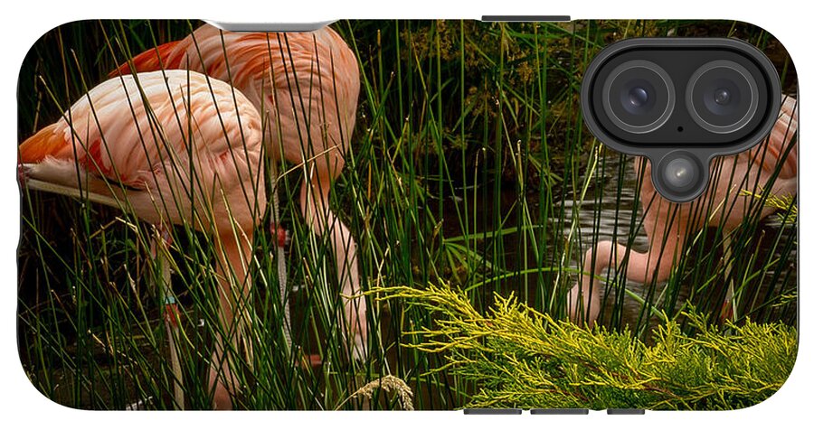 Flamingos drinking - Phone Case
