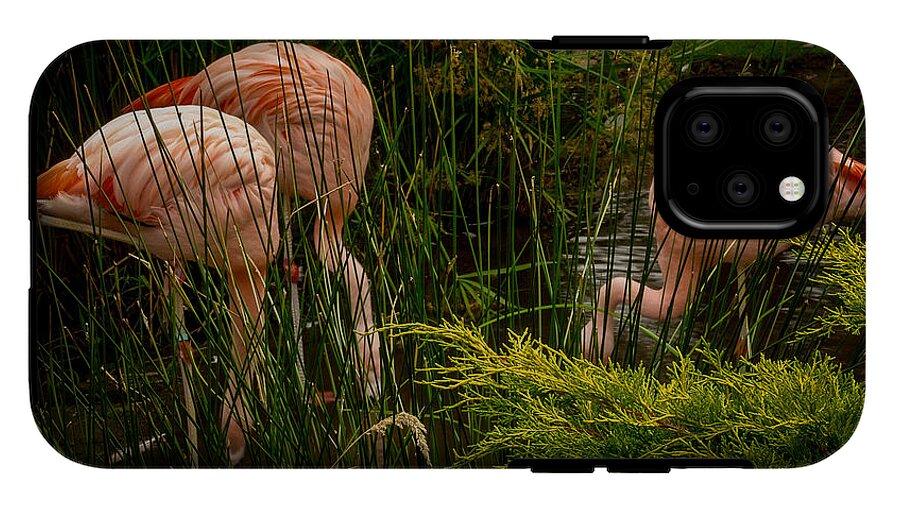 Flamingos drinking - Phone Case