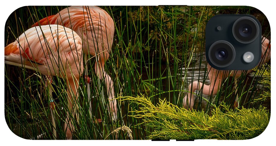 Flamingos drinking - Phone Case