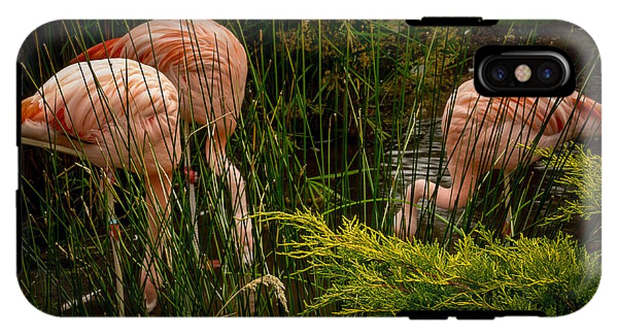 Flamingos drinking - Phone Case