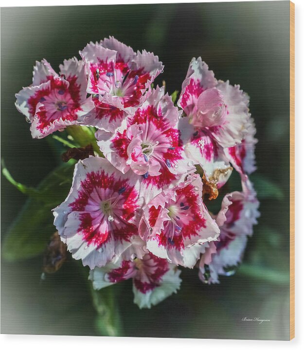 Flowers - Wood Print