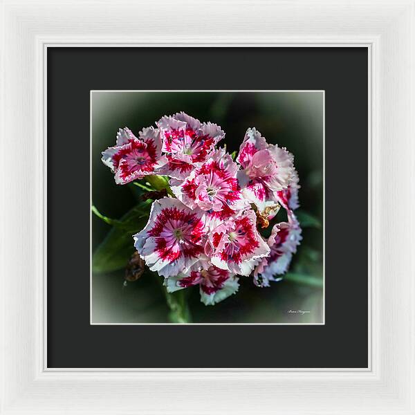 Flowers - Framed Print