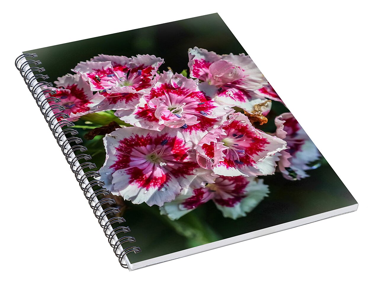Flowers - Spiral Notebook