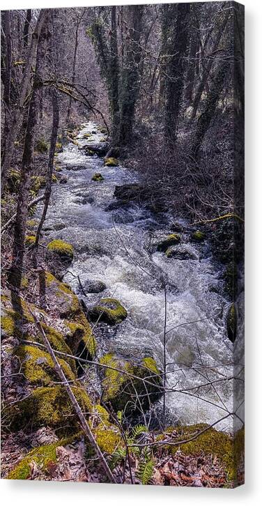 Flowing river - Canvas Print
