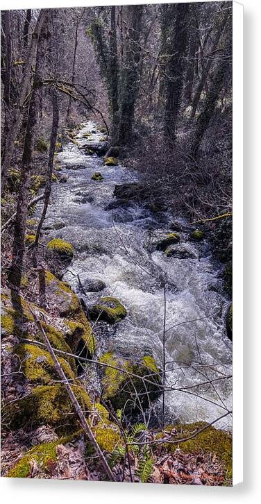 Flowing river - Canvas Print
