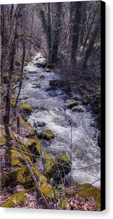 Flowing river - Canvas Print