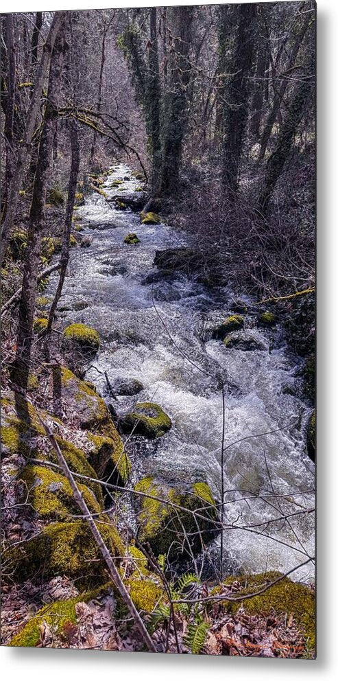 Flowing river - Metal Print