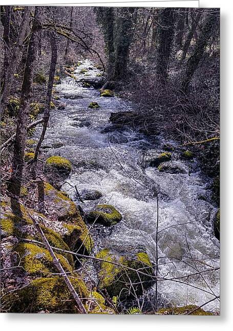 Flowing river - Greeting Card