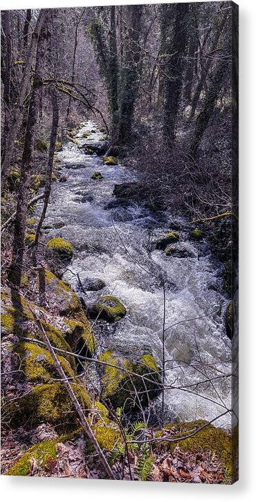Flowing river - Acrylic Print
