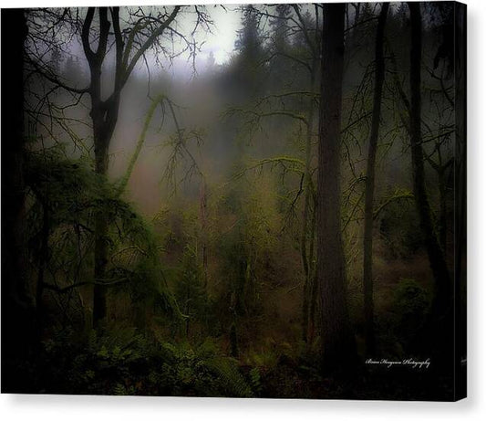 Fog - Canvas Print