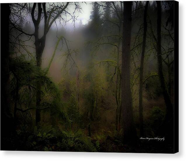 Fog - Canvas Print