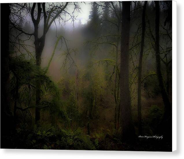 Fog - Canvas Print