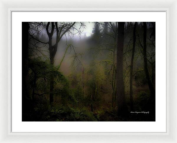 Fog - Framed Print