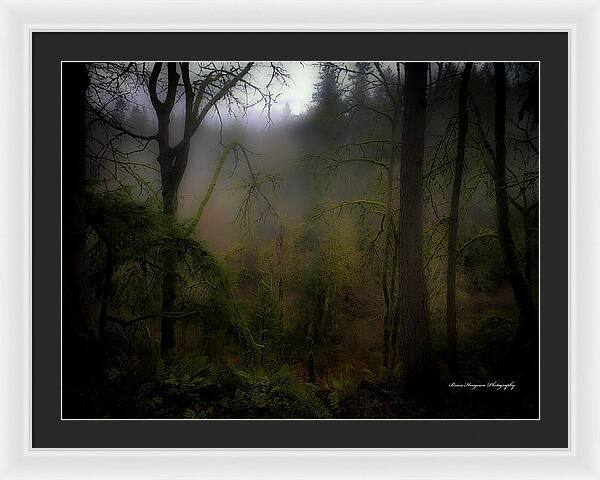 Fog - Framed Print