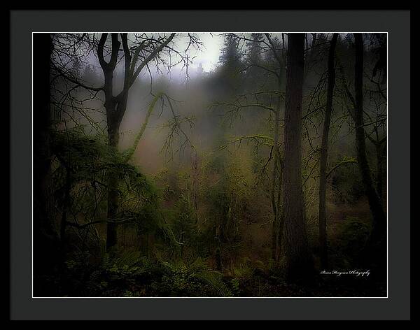 Fog - Framed Print