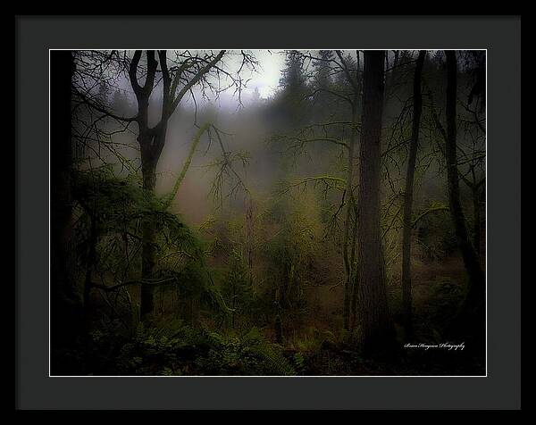 Fog - Framed Print