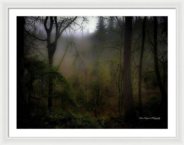 Fog - Framed Print