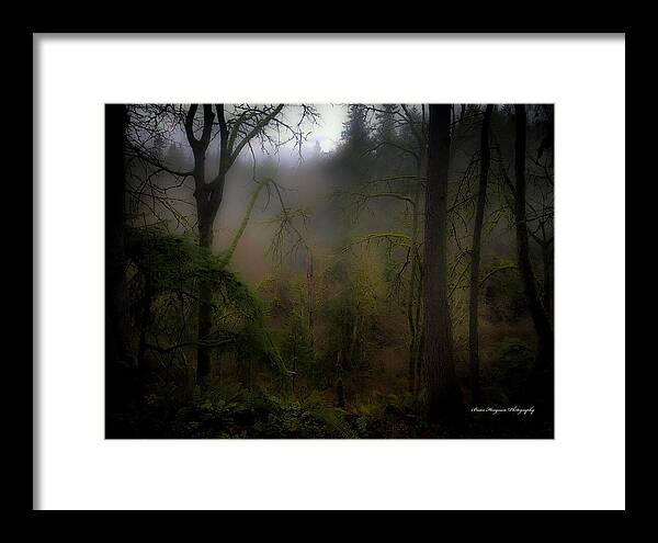 Fog - Framed Print