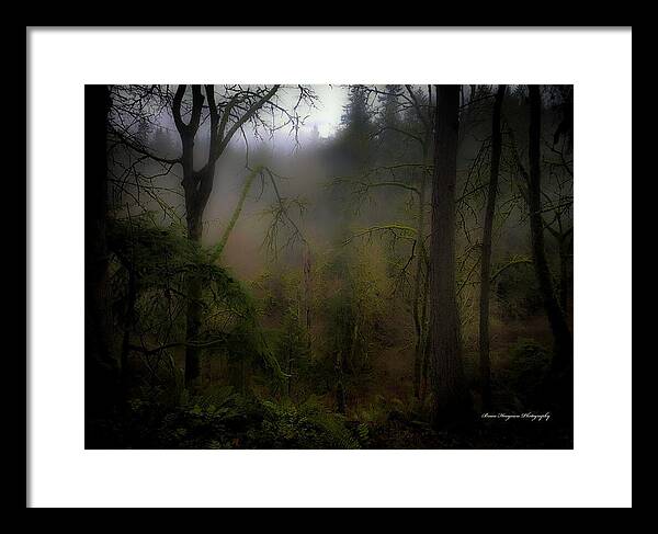 Fog - Framed Print
