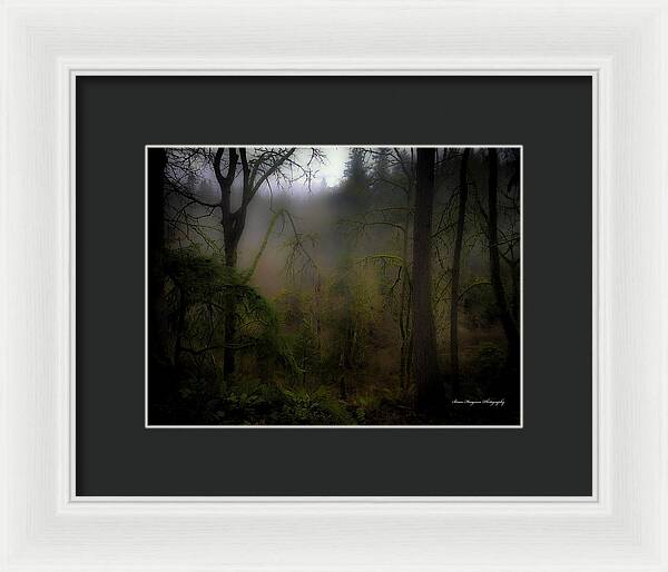 Fog - Framed Print