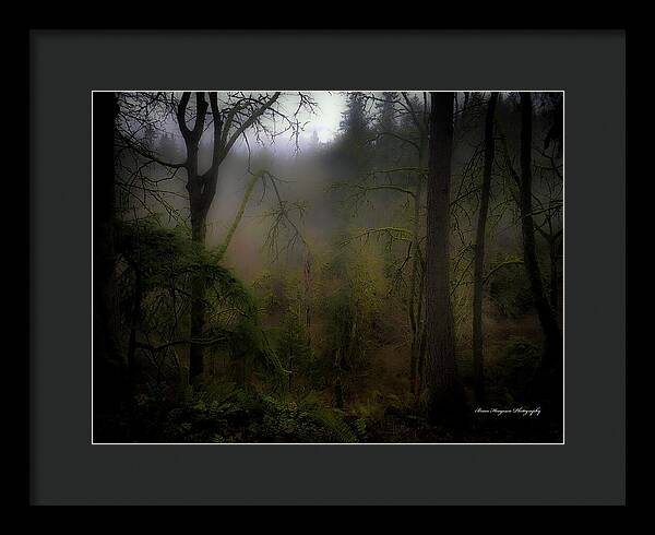 Fog - Framed Print